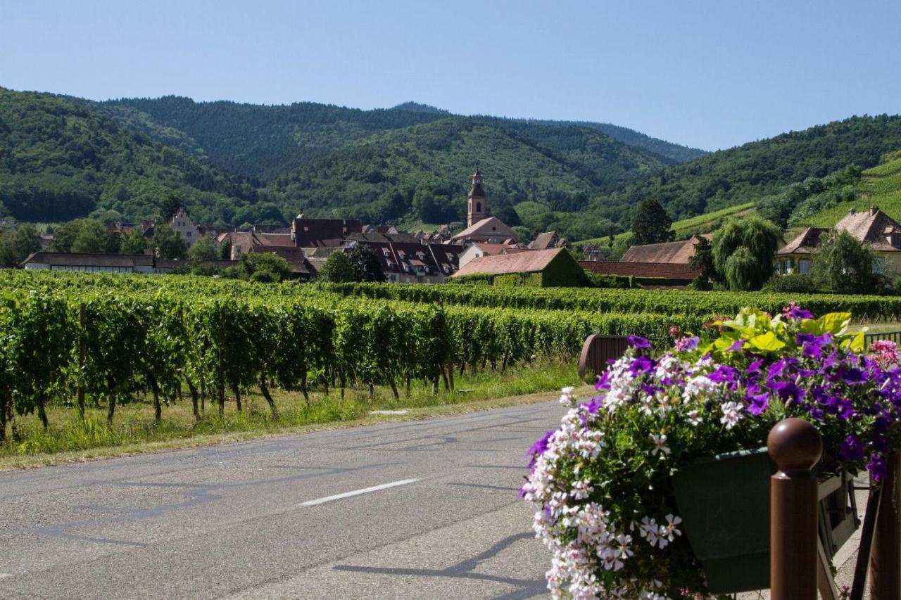 Hotel Berceau Du Vigneron Turckheim Εξωτερικό φωτογραφία